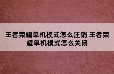 王者荣耀单机模式怎么注销 王者荣耀单机模式怎么关闭